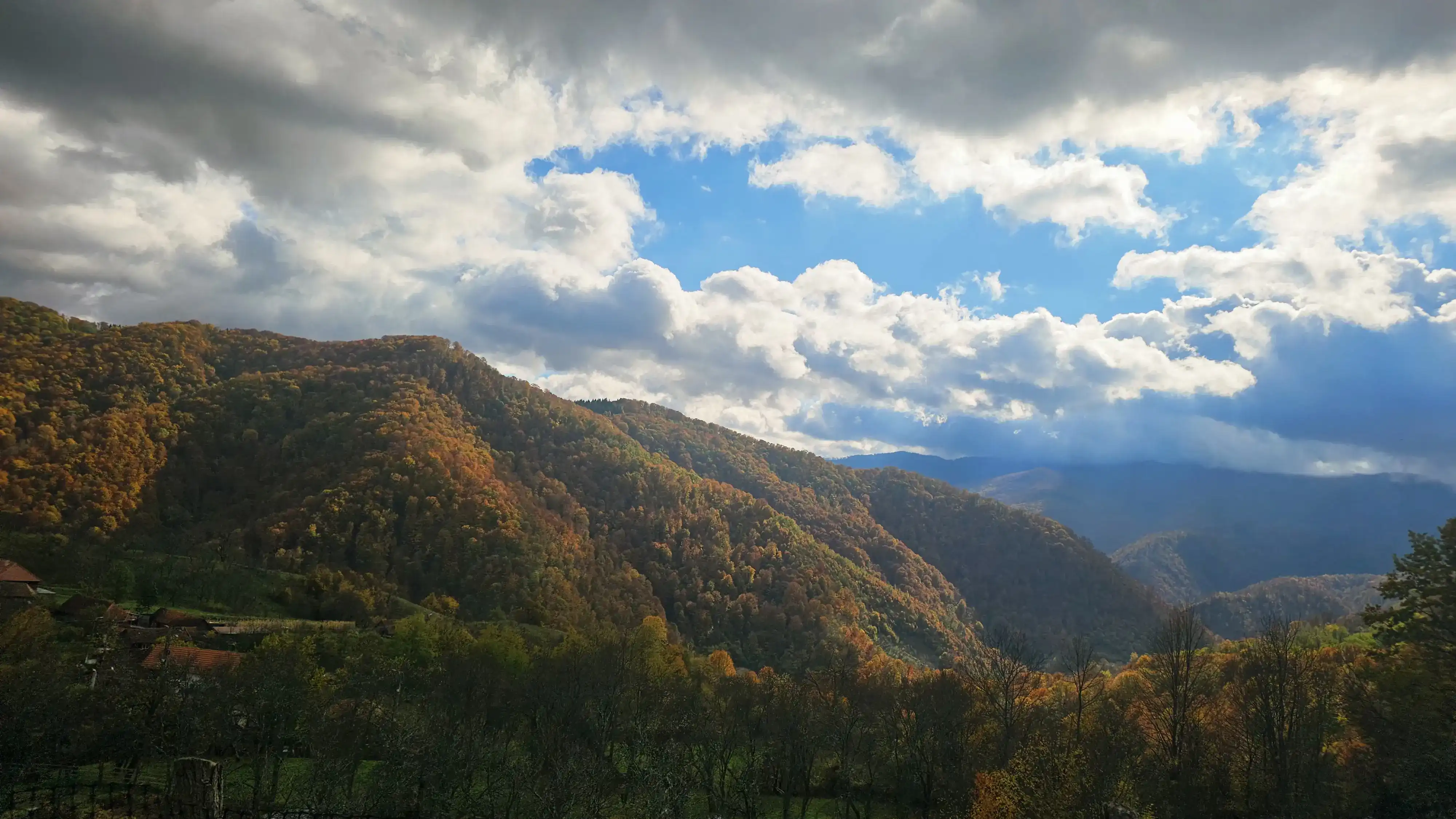 Cabane aproape de Timisoara